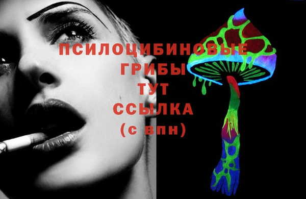 бошки Зеленокумск