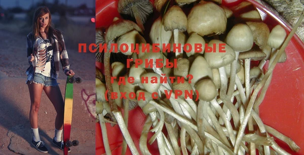 spice Зерноград