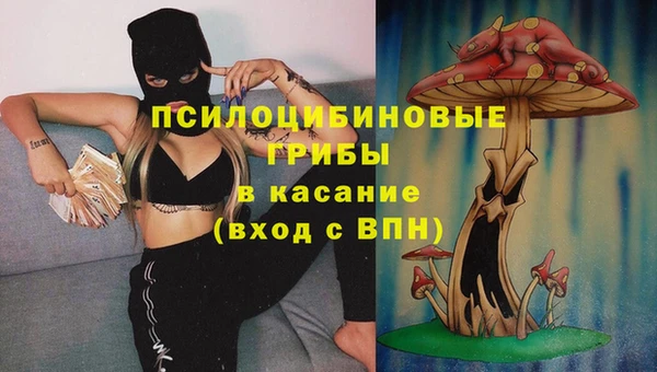 бошки Зеленокумск