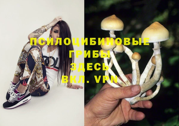 бутират Зеленодольск
